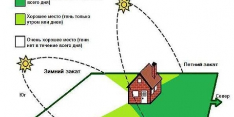 Kako napraviti staklenik